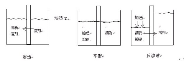 膜分離設(shè)備 膜分離設(shè)備